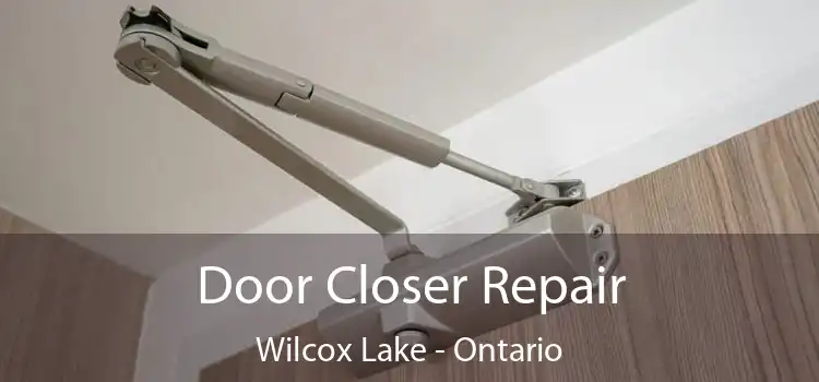 Door Closer Repair Wilcox Lake - Ontario