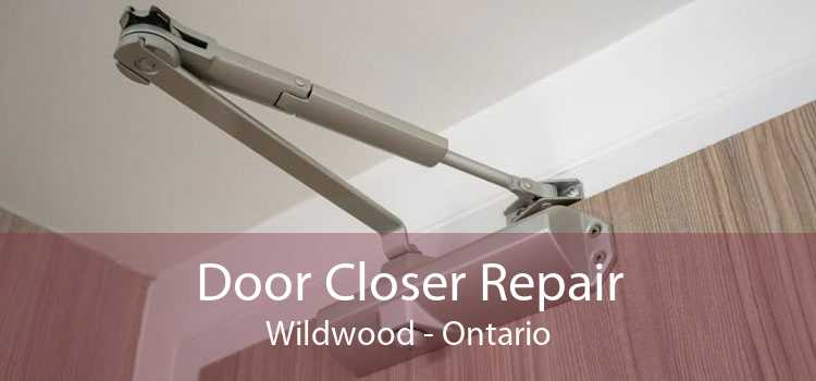 Door Closer Repair Wildwood - Ontario