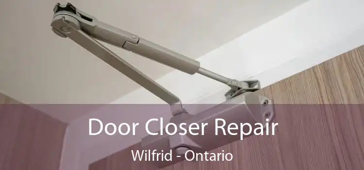 Door Closer Repair Wilfrid - Ontario