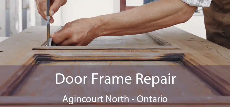 Door Frame Repair Agincourt North - Ontario