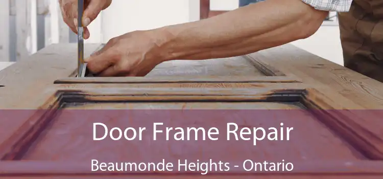 Door Frame Repair Beaumonde Heights - Ontario