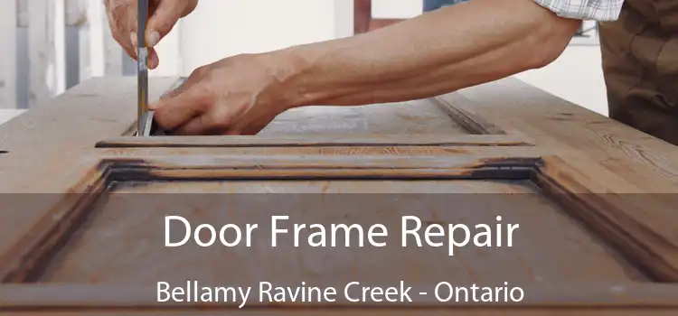 Door Frame Repair Bellamy Ravine Creek - Ontario