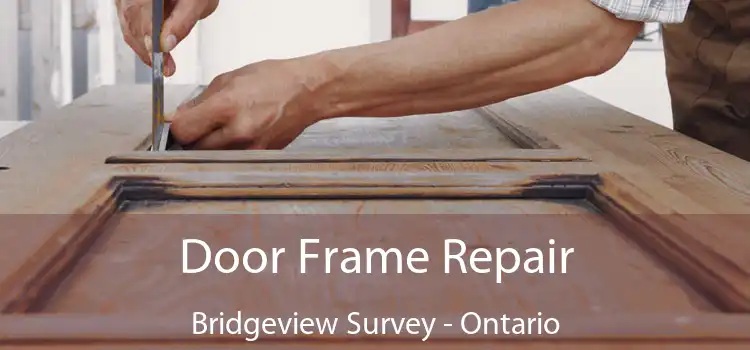Door Frame Repair Bridgeview Survey - Ontario