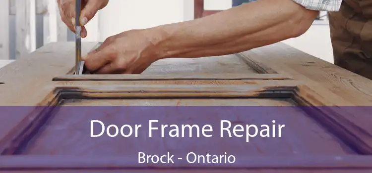 Door Frame Repair Brock - Ontario