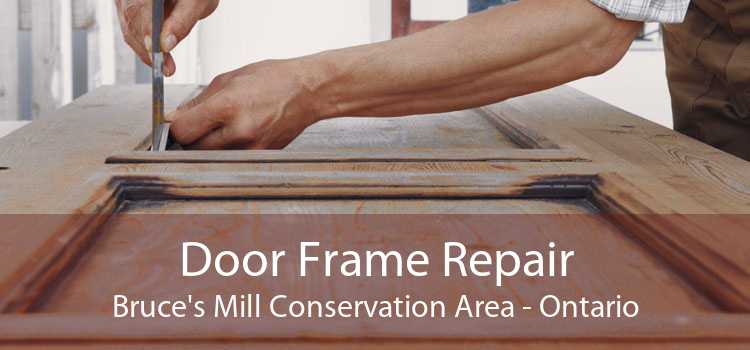 Door Frame Repair Bruce's Mill Conservation Area - Ontario