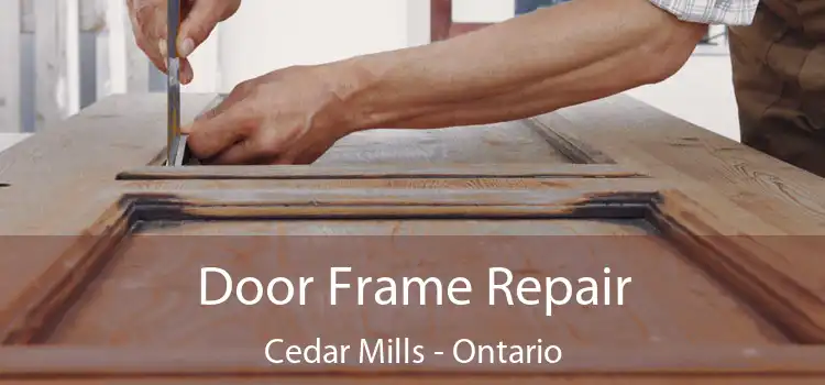 Door Frame Repair Cedar Mills - Ontario