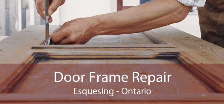 Door Frame Repair Esquesing - Ontario