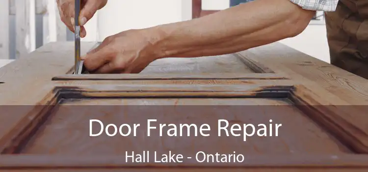 Door Frame Repair Hall Lake - Ontario