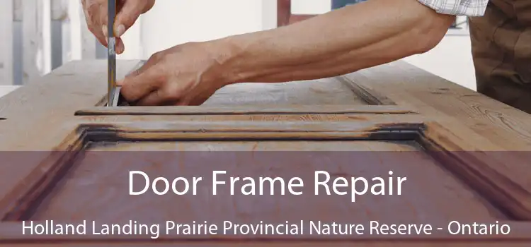 Door Frame Repair Holland Landing Prairie Provincial Nature Reserve - Ontario