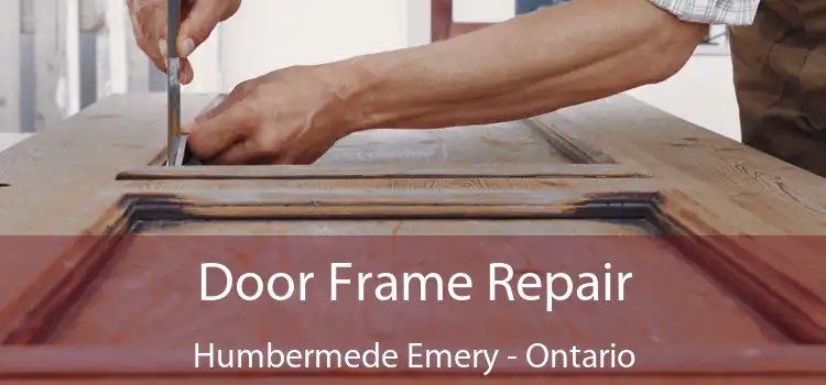 Door Frame Repair Humbermede Emery - Ontario
