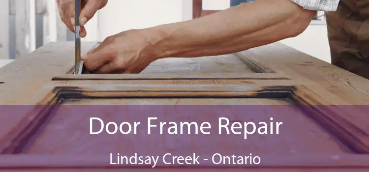 Door Frame Repair Lindsay Creek - Ontario