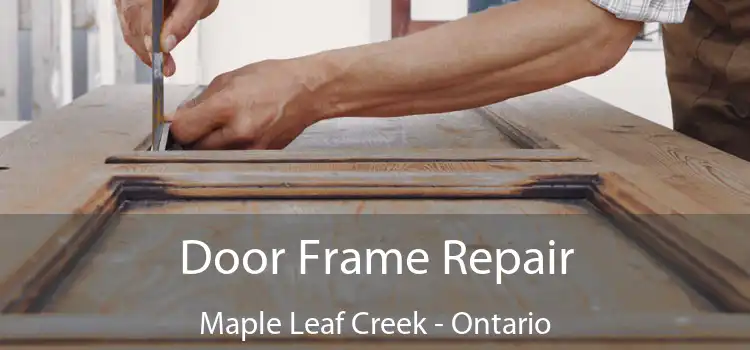 Door Frame Repair Maple Leaf Creek - Ontario