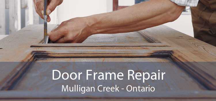 Door Frame Repair Mulligan Creek - Ontario