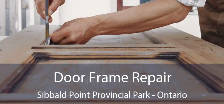 Door Frame Repair Sibbald Point Provincial Park - Ontario