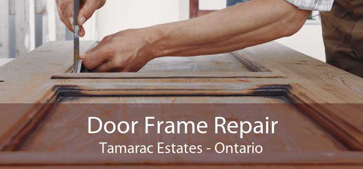 Door Frame Repair Tamarac Estates - Ontario