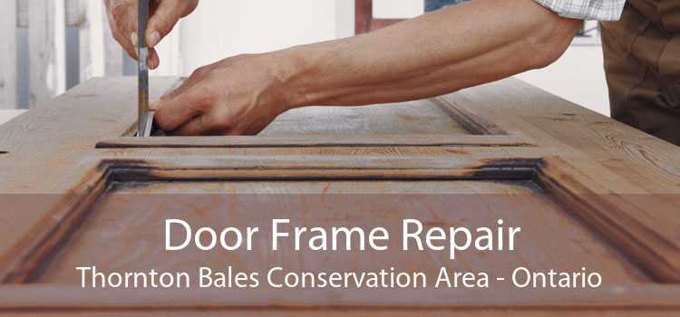 Door Frame Repair Thornton Bales Conservation Area - Ontario
