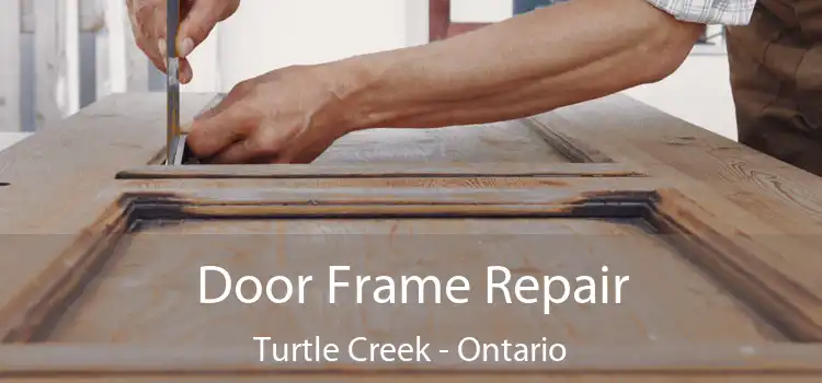 Door Frame Repair Turtle Creek - Ontario