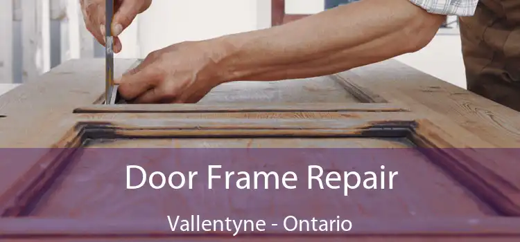 Door Frame Repair Vallentyne - Ontario
