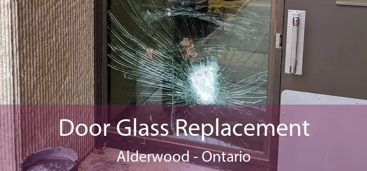 Door Glass Replacement Alderwood - Ontario
