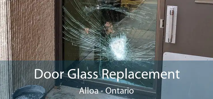 Door Glass Replacement Alloa - Ontario