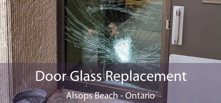 Door Glass Replacement Alsops Beach - Ontario