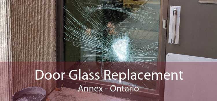 Door Glass Replacement Annex - Ontario
