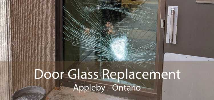 Door Glass Replacement Appleby - Ontario
