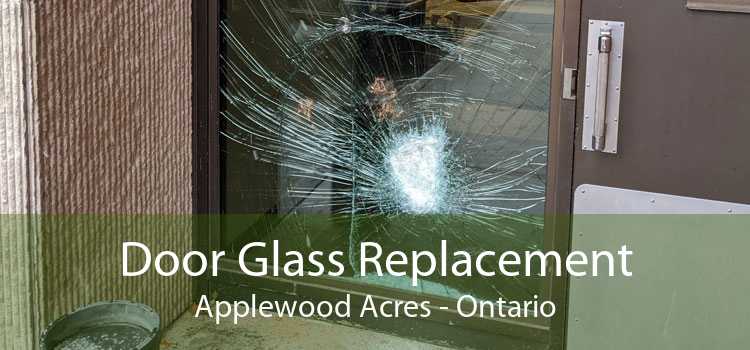 Door Glass Replacement Applewood Acres - Ontario