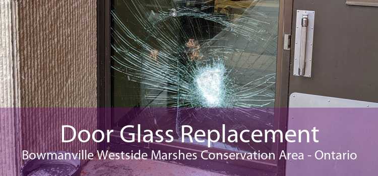 Door Glass Replacement Bowmanville Westside Marshes Conservation Area - Ontario