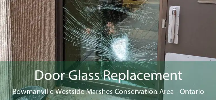 Door Glass Replacement Bowmanville Westside Marshes Conservation Area - Ontario