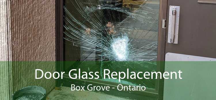Door Glass Replacement Box Grove - Ontario