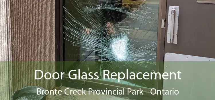 Door Glass Replacement Bronte Creek Provincial Park - Ontario