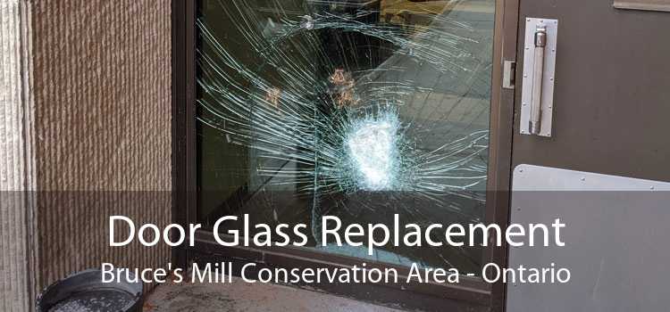 Door Glass Replacement Bruce's Mill Conservation Area - Ontario