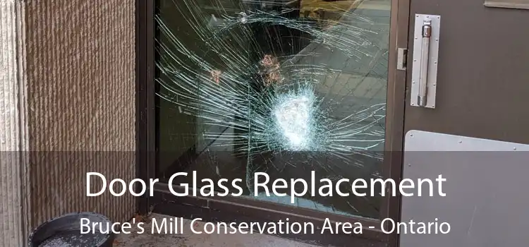 Door Glass Replacement Bruce's Mill Conservation Area - Ontario