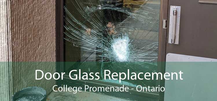 Door Glass Replacement College Promenade - Ontario