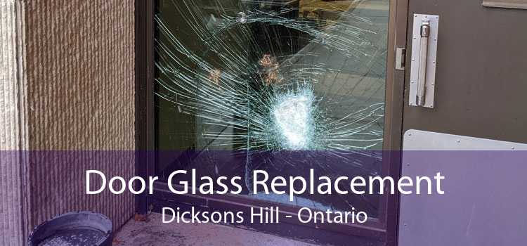 Door Glass Replacement Dicksons Hill - Ontario