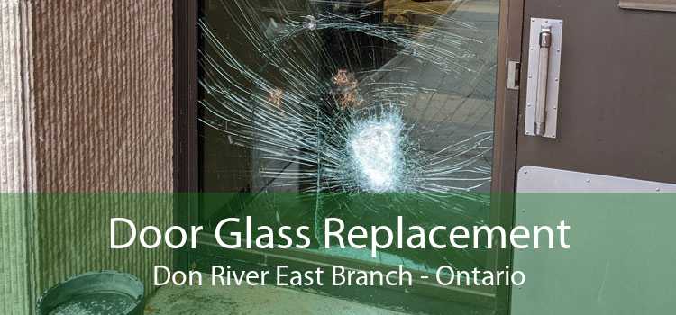 Door Glass Replacement Don River East Branch - Ontario