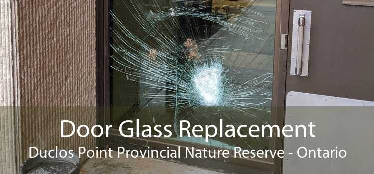 Door Glass Replacement Duclos Point Provincial Nature Reserve - Ontario