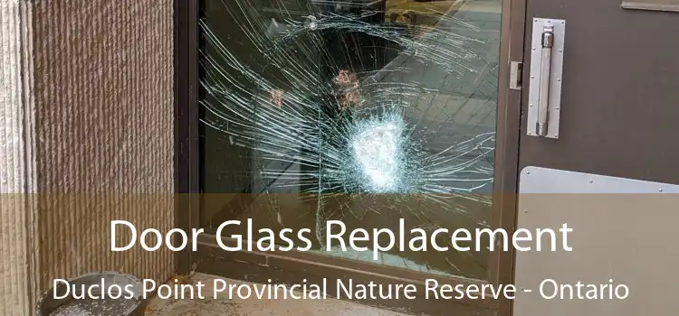 Door Glass Replacement Duclos Point Provincial Nature Reserve - Ontario