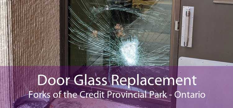 Door Glass Replacement Forks of the Credit Provincial Park - Ontario