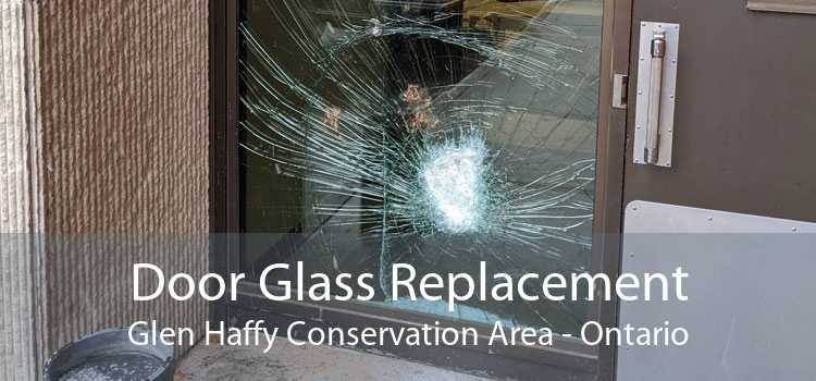 Door Glass Replacement Glen Haffy Conservation Area - Ontario