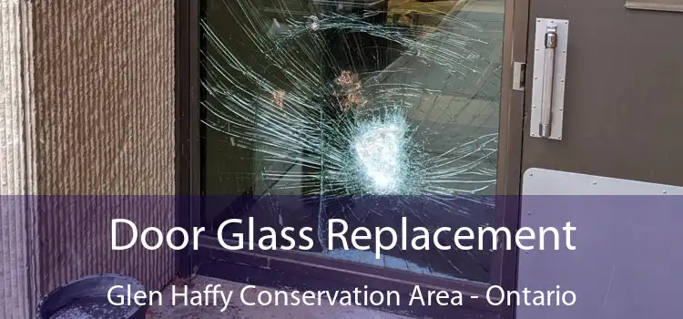 Door Glass Replacement Glen Haffy Conservation Area - Ontario