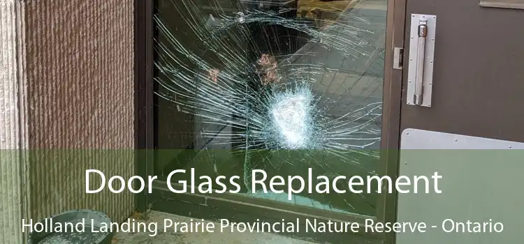 Door Glass Replacement Holland Landing Prairie Provincial Nature Reserve - Ontario