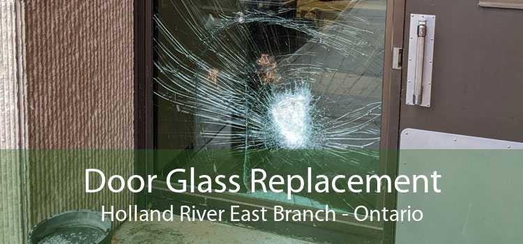 Door Glass Replacement Holland River East Branch - Ontario