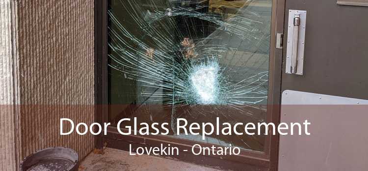 Door Glass Replacement Lovekin - Ontario