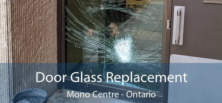 Door Glass Replacement Mono Centre - Ontario