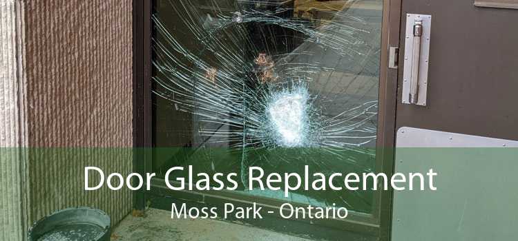 Door Glass Replacement Moss Park - Ontario