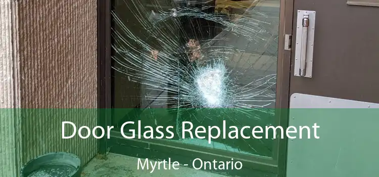 Door Glass Replacement Myrtle - Ontario