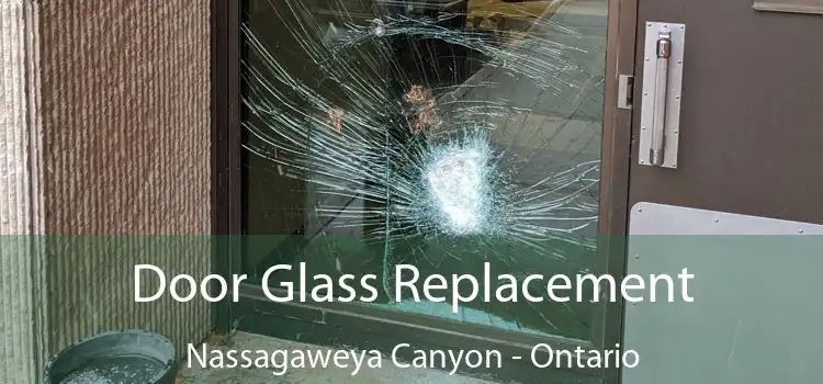 Door Glass Replacement Nassagaweya Canyon - Ontario