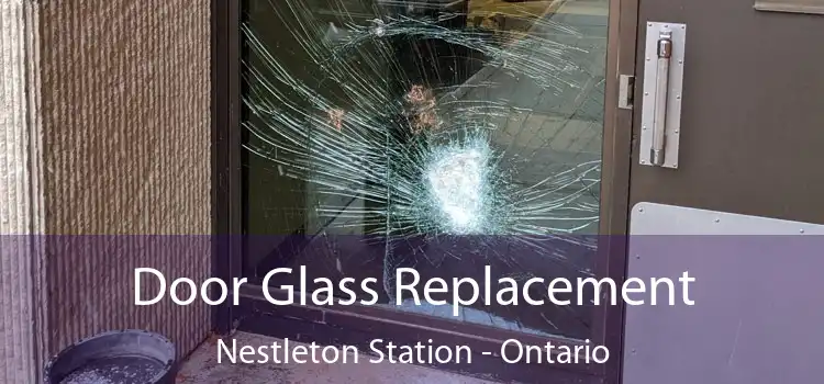 Door Glass Replacement Nestleton Station - Ontario